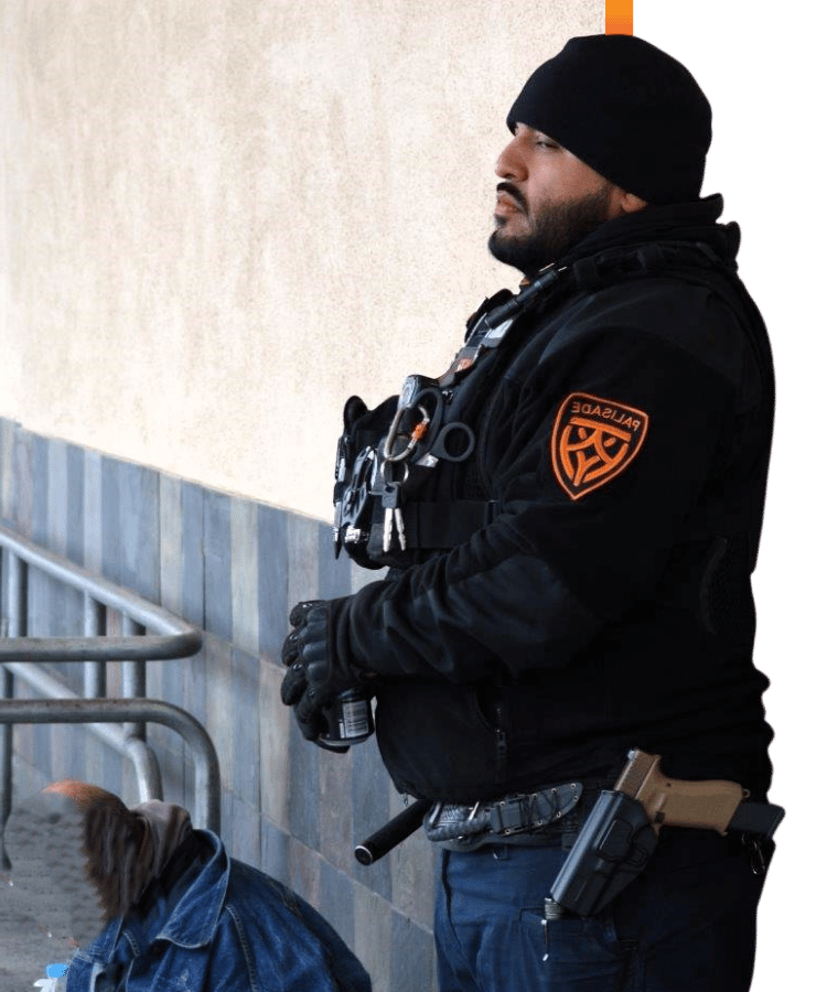 About Palisade Defense in Las Vegas Learn More Palisade Defense